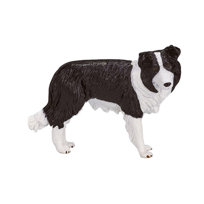 Mojo Ackerland Border Collie 387203