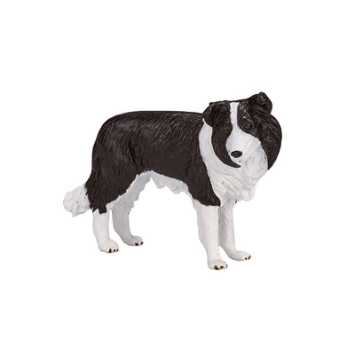 Mojo Ackerland Border Collie 387203