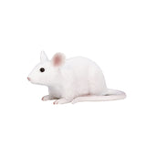 Mojo Ackerland Muis 387235 - afbeelding 1