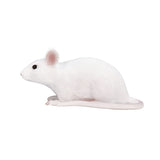 Mojo Ackerland Muis 387235 - afbeelding 2