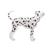 Mojo Ackerland Dalmatian 387248