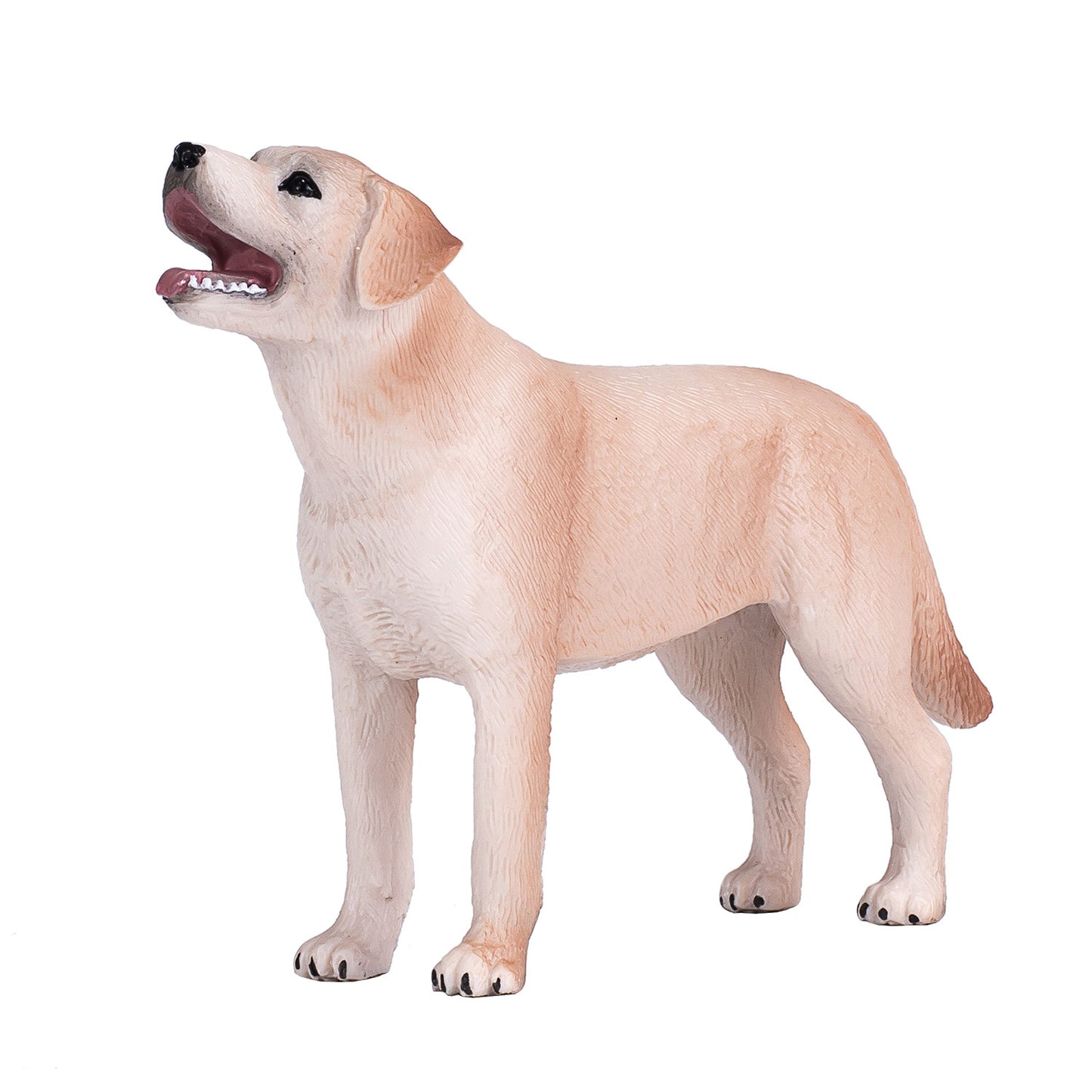 Mojo Ackerland Labrador 387271