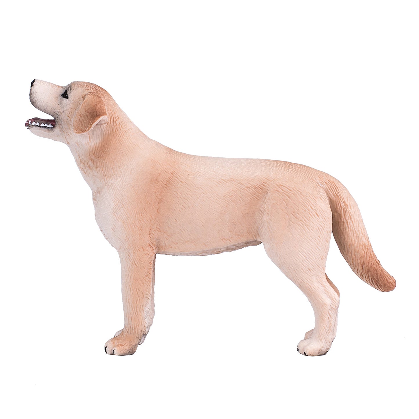 Mojo Ackerland Labrador 387271