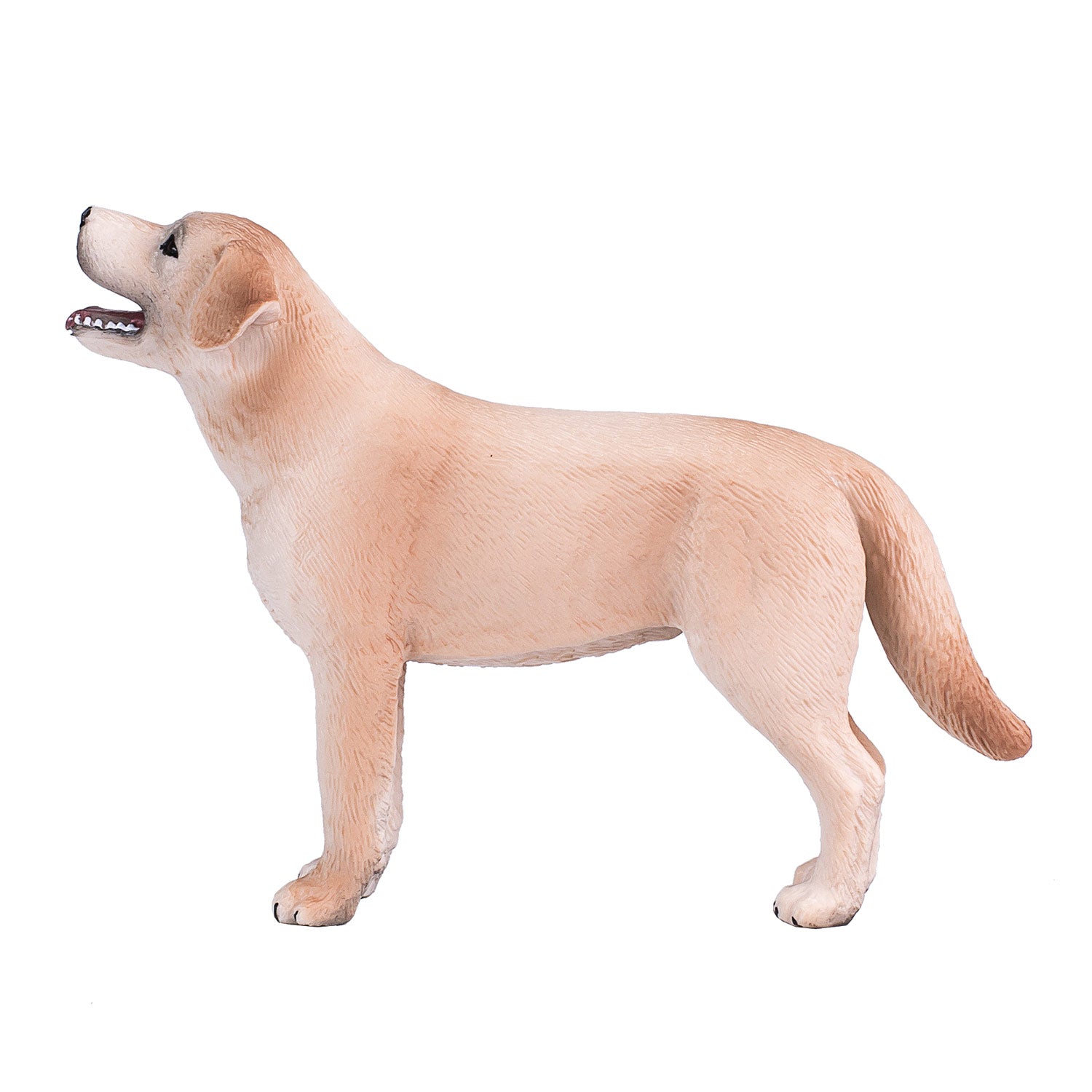 Mojo Ackerland Labrador 387271