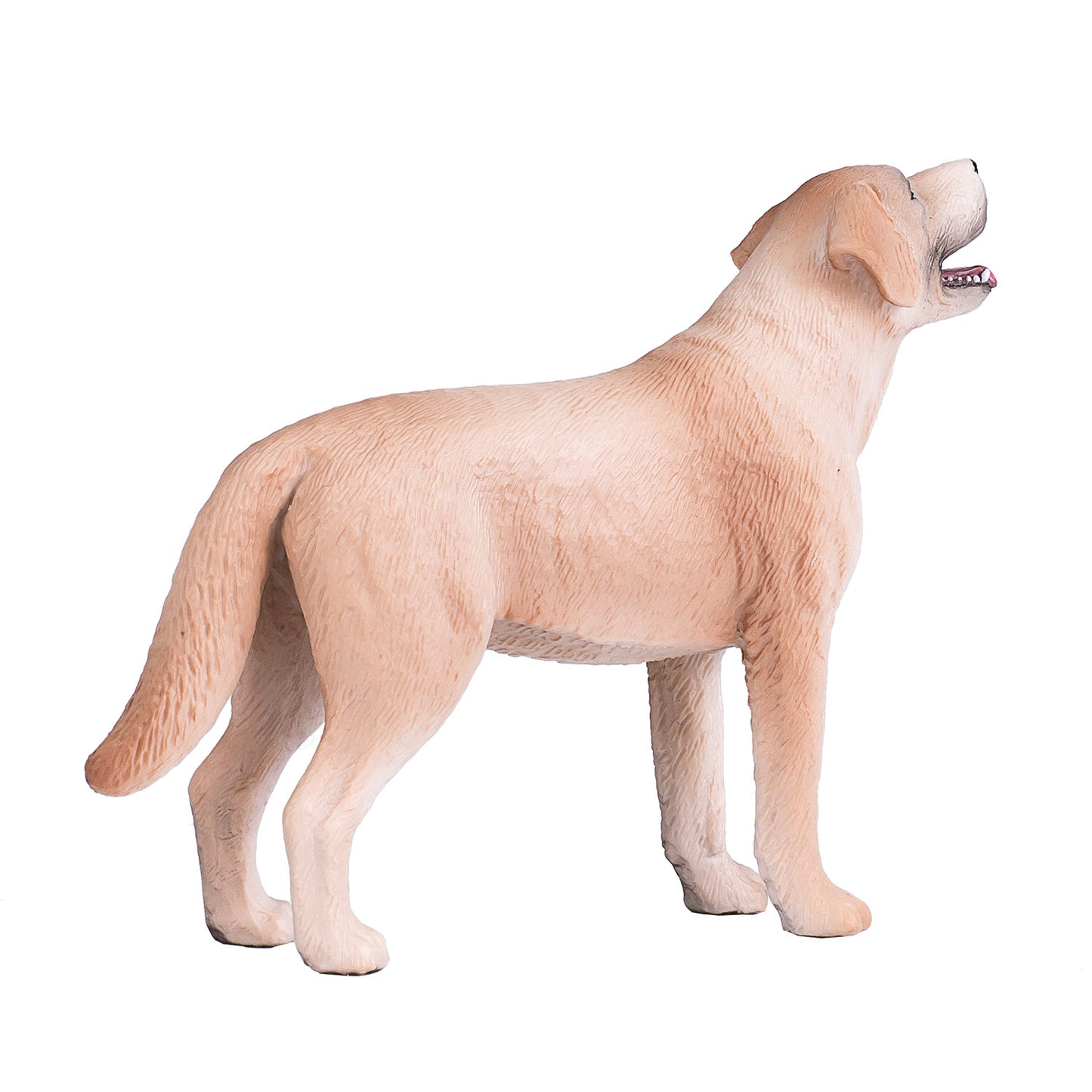 Mojo Ackerland Labrador 387271
