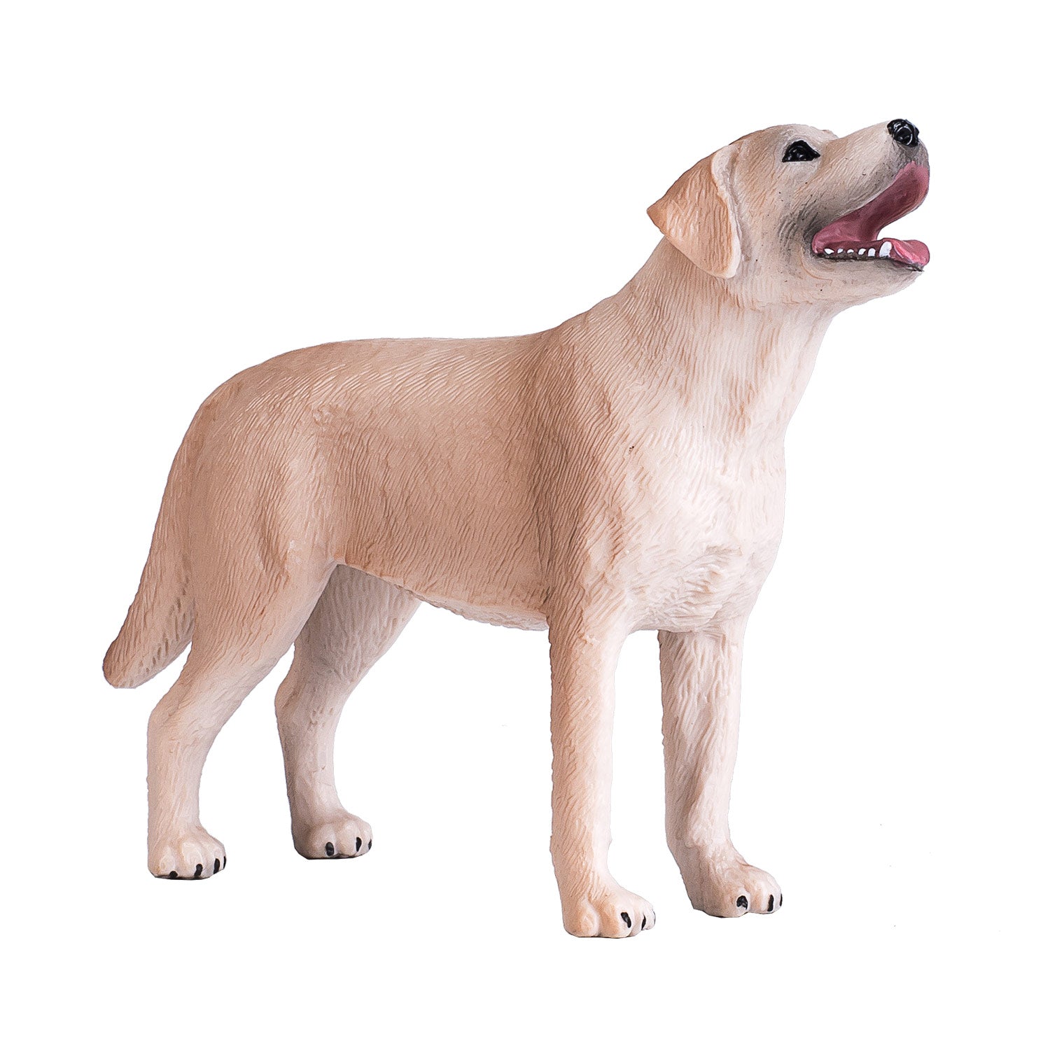 Mojo Ackerland Labrador 387271