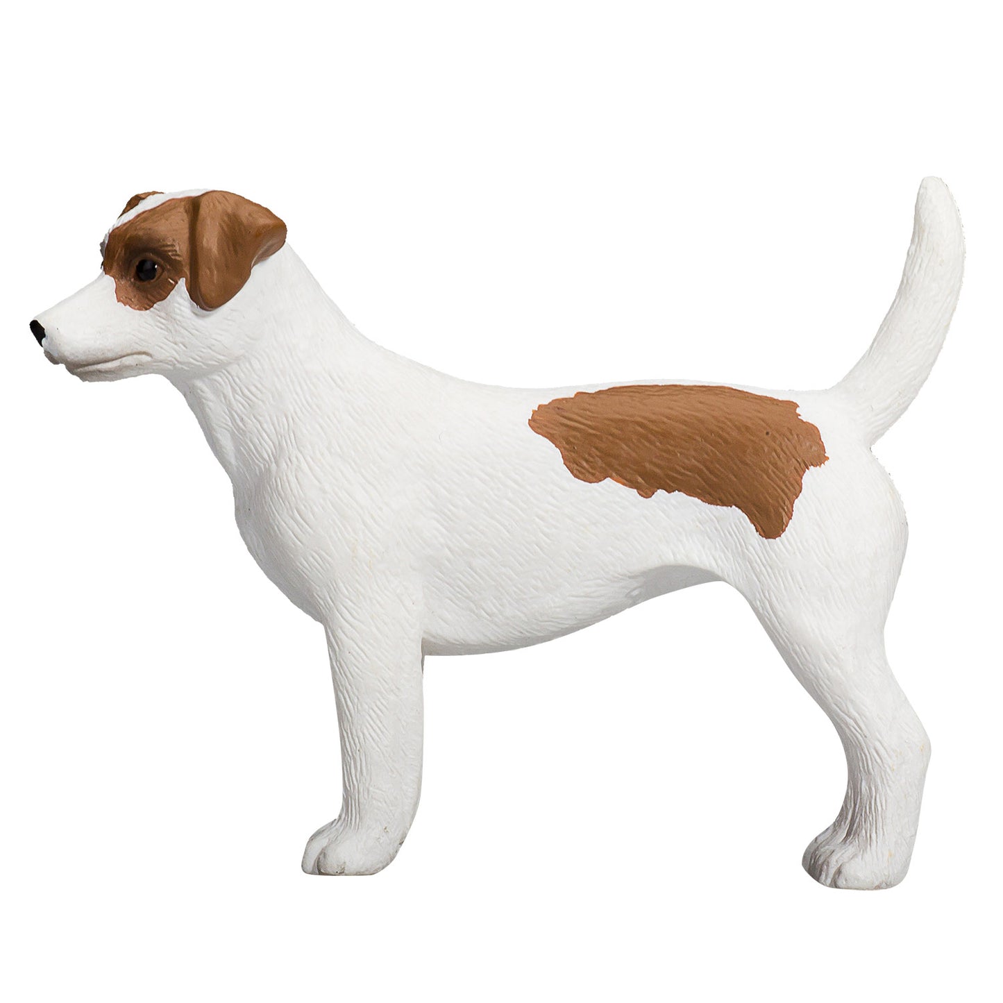 Mojo Ackerland Jack Russell Terrier 387286