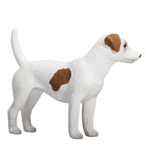Mojo Ackerland Jack Russell Terrier 387286 - afbeelding 5
