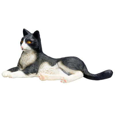 Mojo Ackerland Lüge Katze Schwarz und Weiß 387367