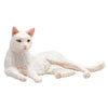 Mojo Ackerland liegt Katze weiß 387368