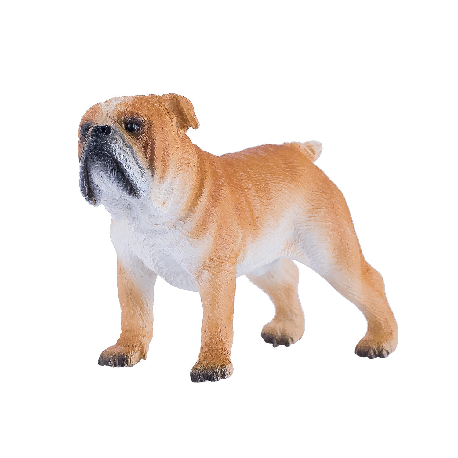 Mojo Ackerland English Bulldog 381053
