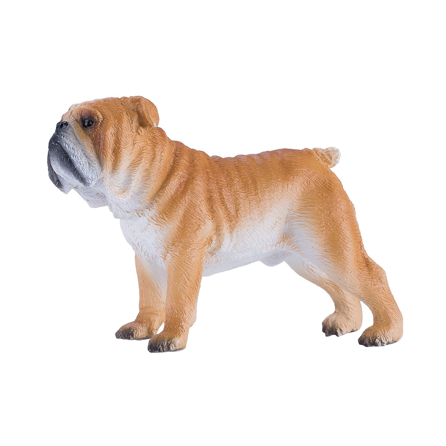 Mojo Ackerland English Bulldog 381053