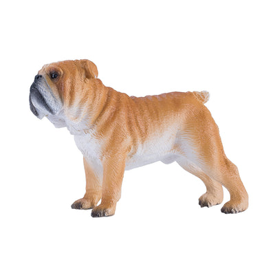 Mojo Ackerland English Bulldog 381053