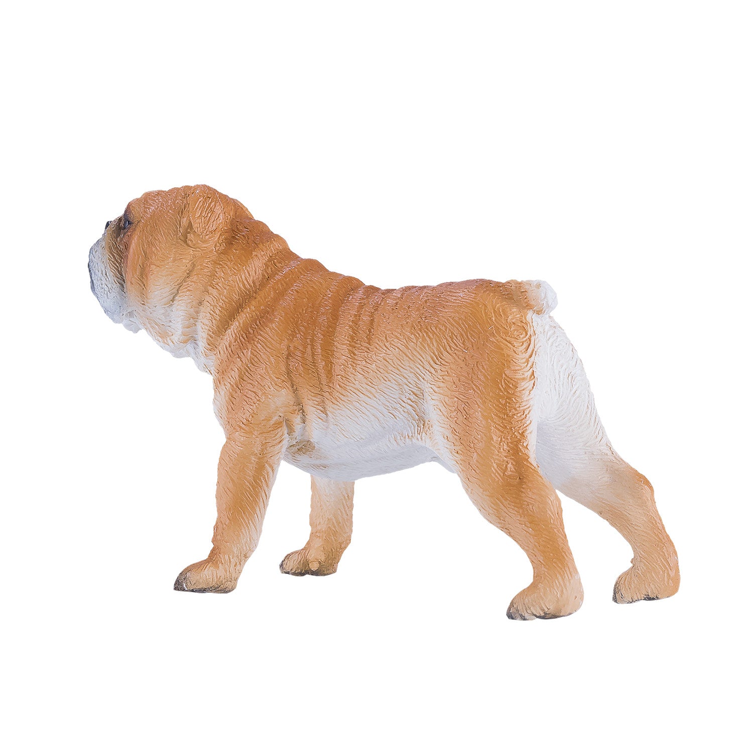 Mojo Ackerland English Bulldog 381053