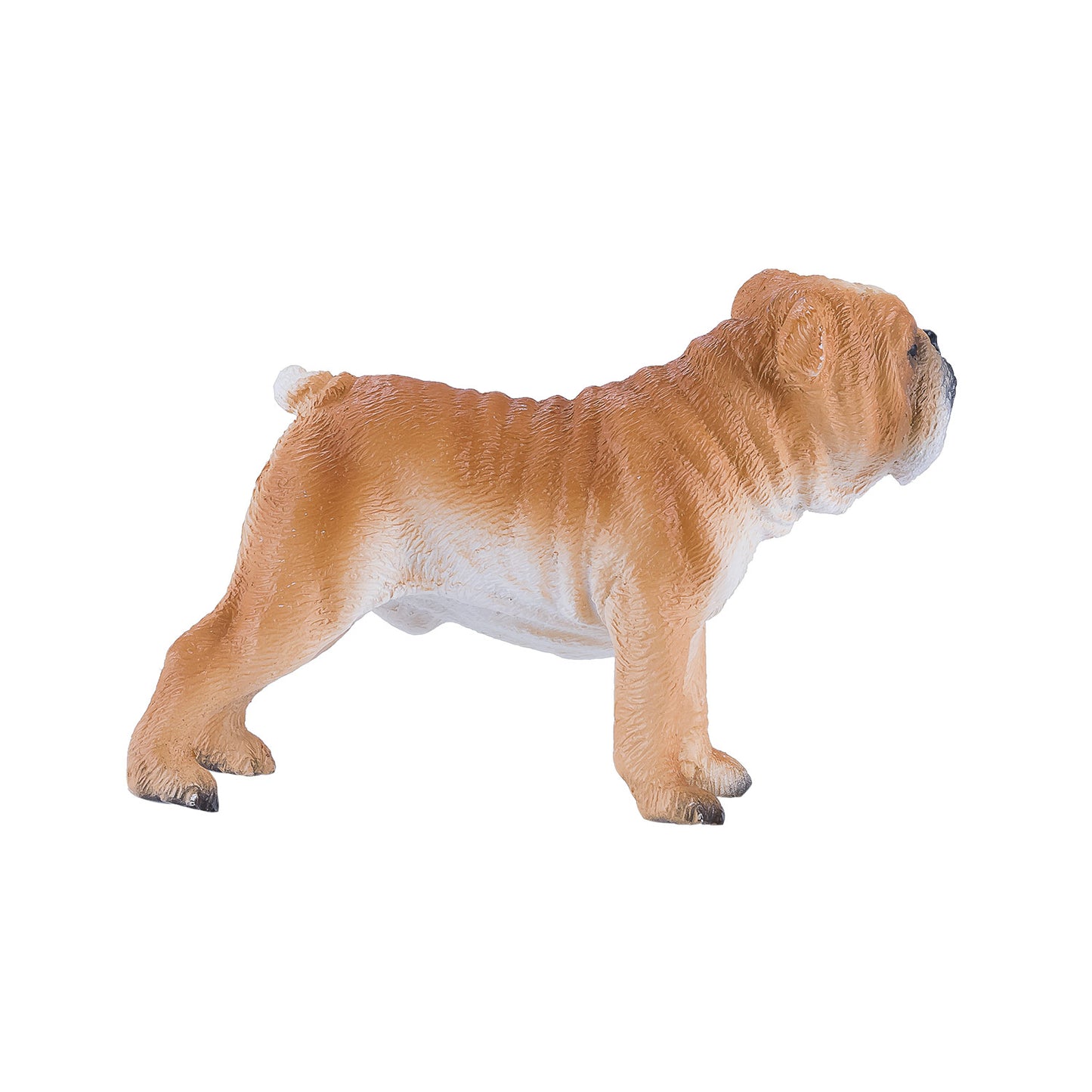 Mojo Ackerland English Bulldog 381053