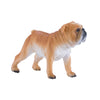 Mojo Ackerland English Bulldog 381053