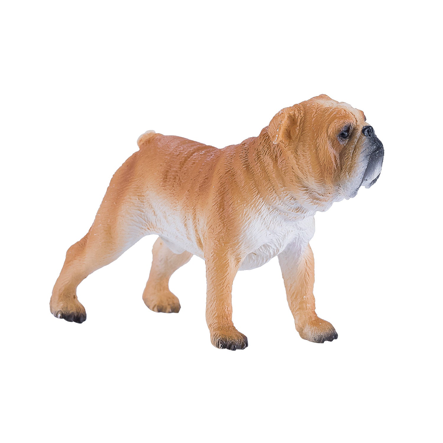 Mojo Ackerland English Bulldog 381053