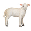 Mojo Ackerland Romney Lam stehend 381065
