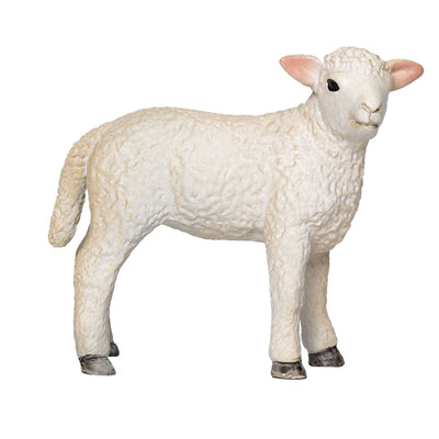Mojo Ackerland Romney Lam stehend 381065