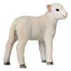 Mojo Ackerland Romney Lam stehend 381065