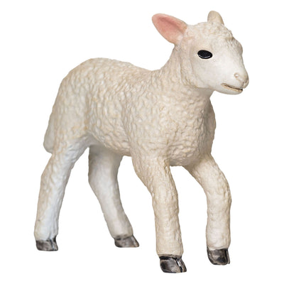 Mojo Ackerland Romney Lam Rennend 381066