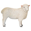 Mojo Ackerland Romney Schaap OOI 381064