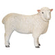 Mojo Ackerland Romney Schaap OOI 381064