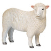 Mojo Ackerland Romney Schaap OOI 381064