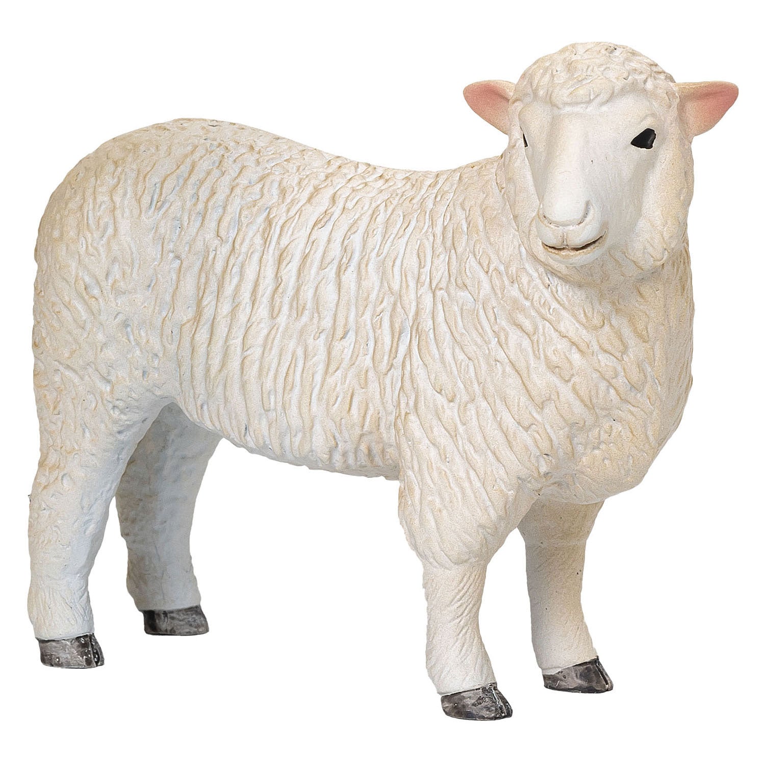 Mojo Ackerland Romney Schaap OOI 381064