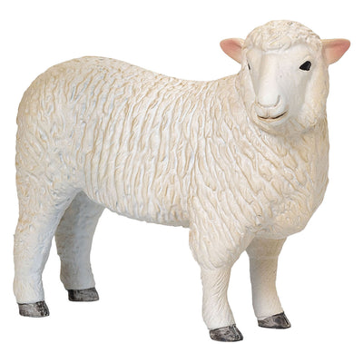 Mojo Ackerland Romney Schaap OOI 381064