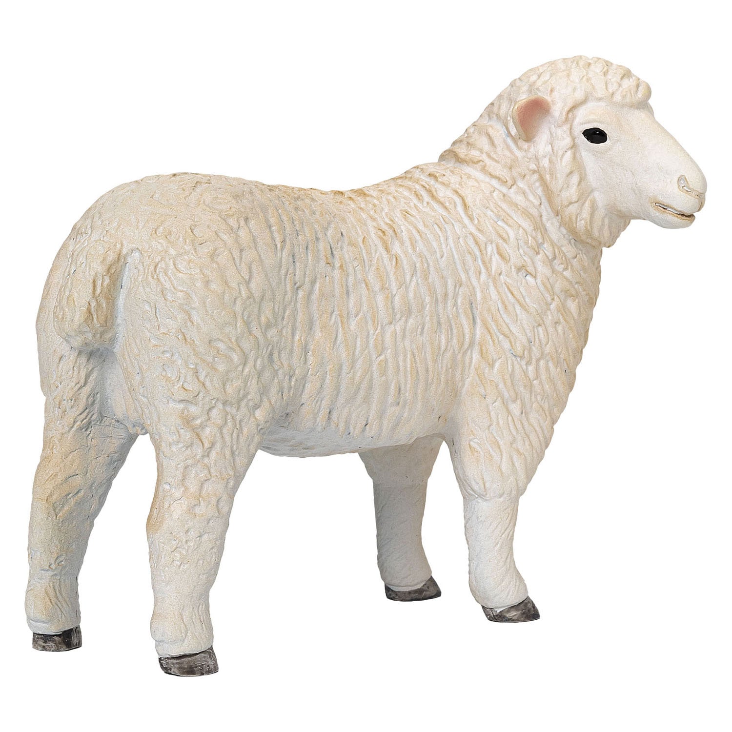 Mojo Ackerland Romney Schaap OOI 381064