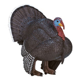 Mojo Ackerland männlicher Türkei 387285 - afbeelding 1