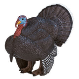 Mojo Ackerland männlicher Türkei 387285 - afbeelding 2