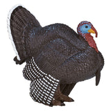 Mojo Ackerland männlicher Türkei 387285 - afbeelding 4