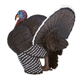 Mojo Ackerland männlicher Türkei 387285 - afbeelding 5