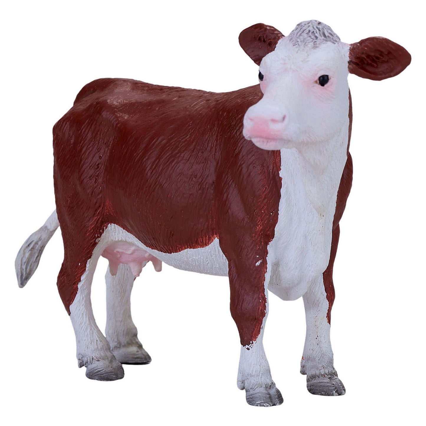 Mojo Ackerland Hereford Koe 381074
