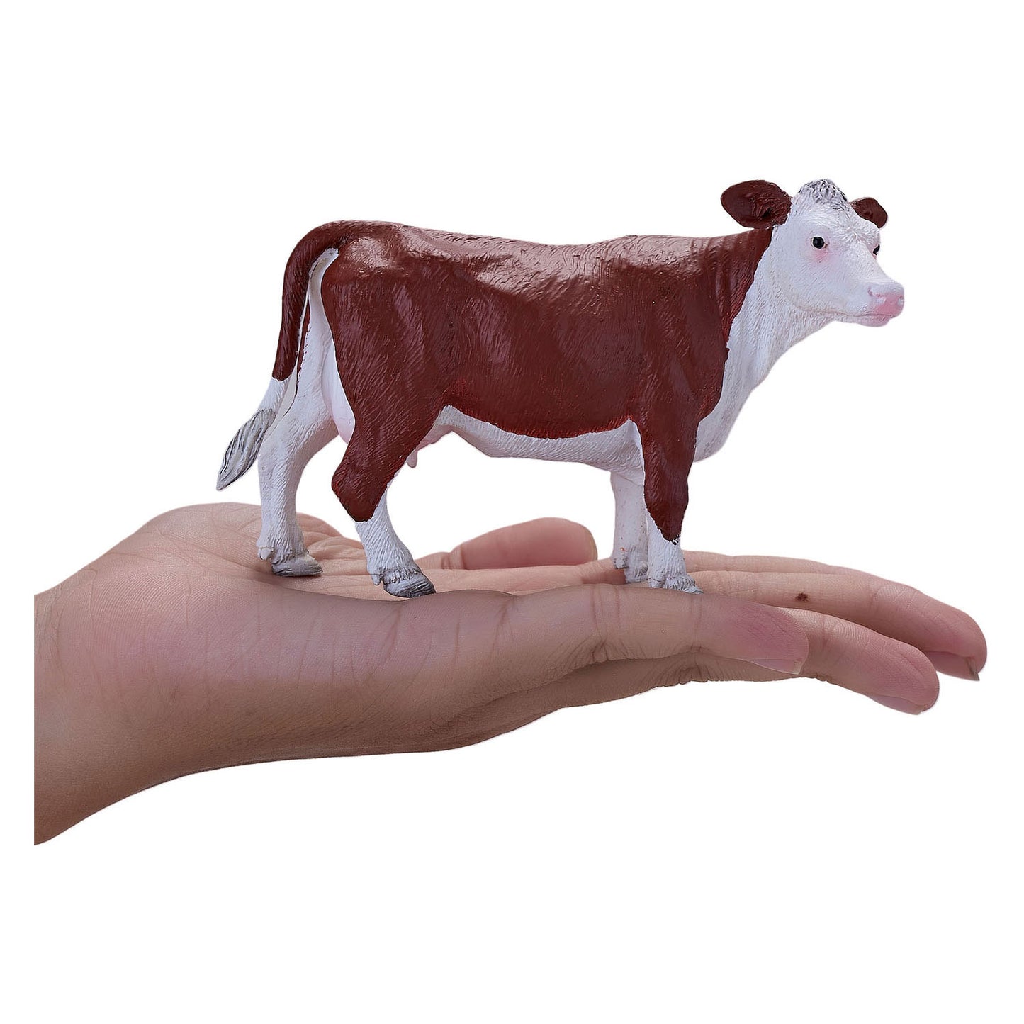 Mojo Ackerland Hereford Koe 381074