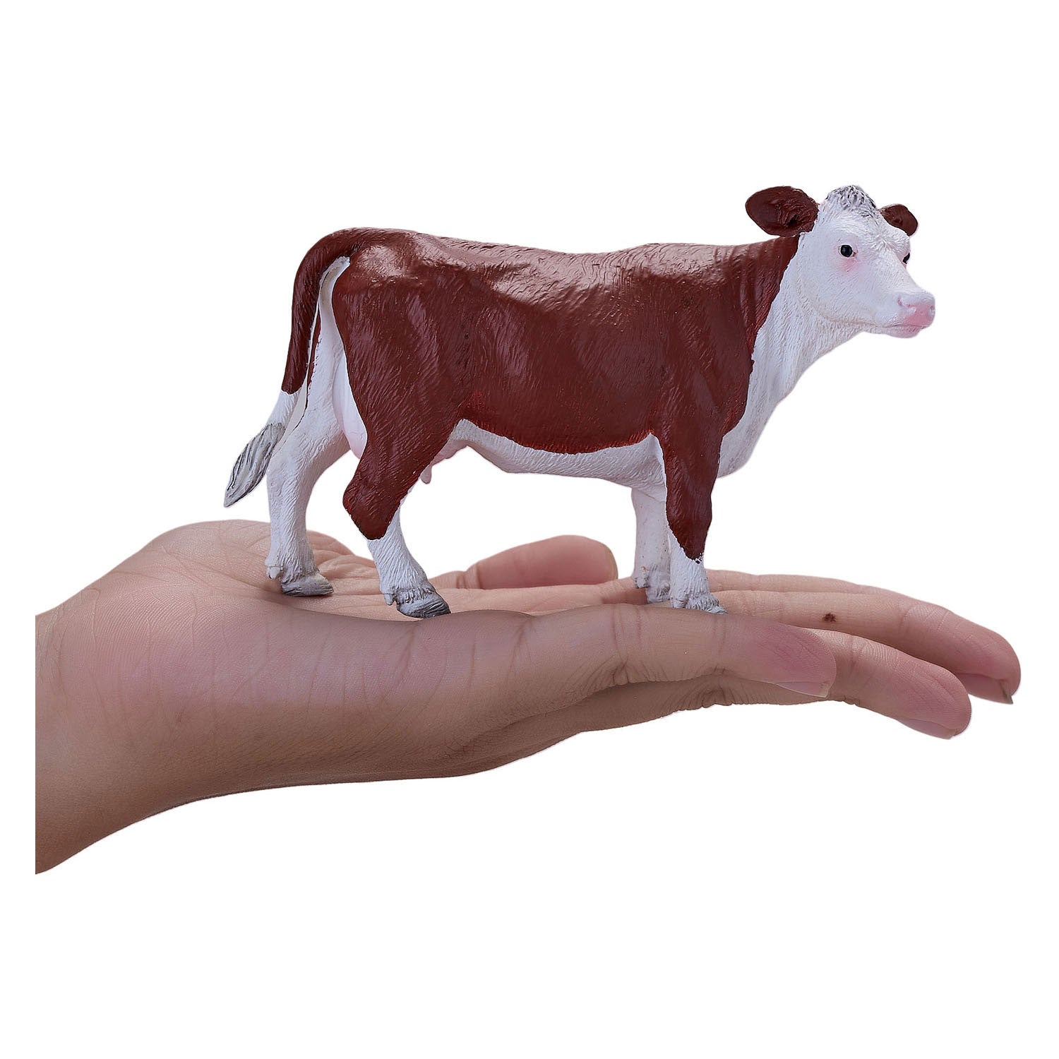 Mojo Ackerland Hereford Koe 381074