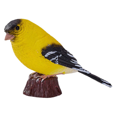 Mojo Ackerland American Goudvink - 381111