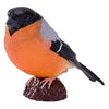 Mojo Ackerland Goudvink - 381113