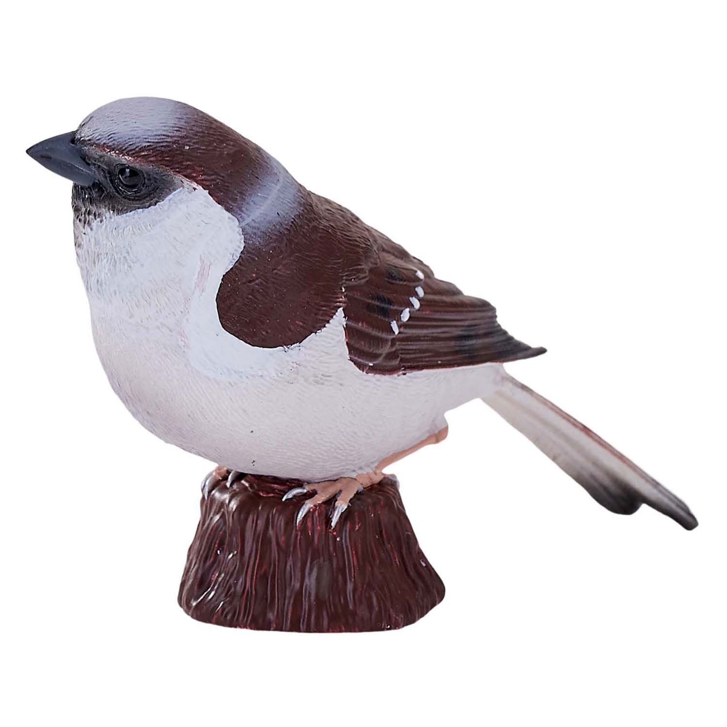 Mojo Ackerland Huismus - 381114