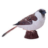 Mojo Ackerland Huismus - 381114