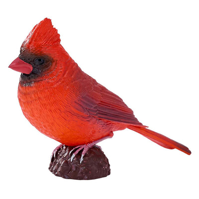 Mojo Ackerland Red Cardinal - 381117