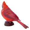 Mojo Ackerland Red Cardinal - 381117