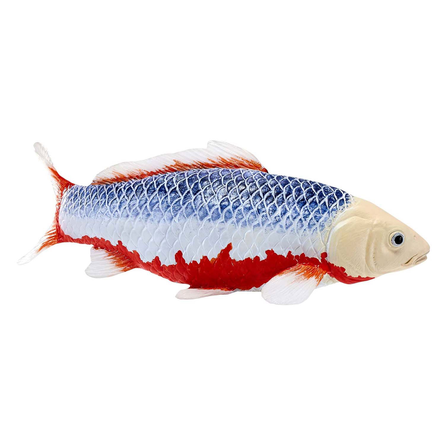 Mojo Sealife Koi Karpfen - Asagi Koi - 381100