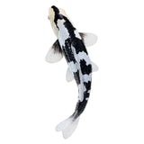 Mojo Sealife Koi Karper - Shiro Utsuri Koi - 381102 - afbeelding 4
