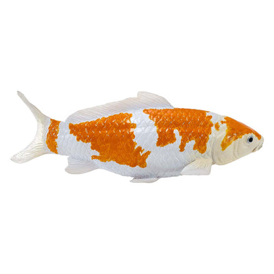 Mojo Sealife Koi Karpfen - Ochiba Shigure Koi - 381104