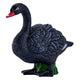 Mojo Ackerland Black Swan - 381067