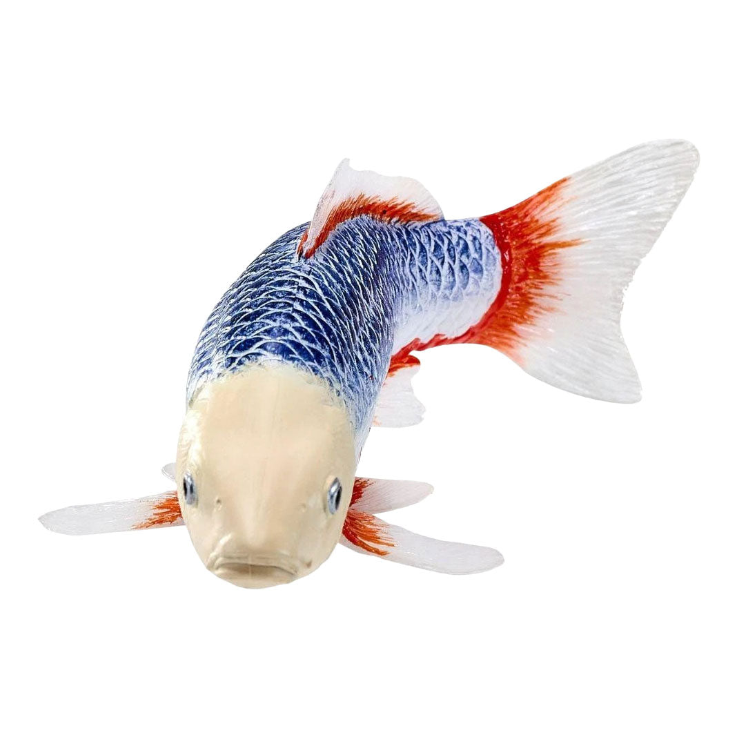 Mojo Koi-Kollektion – Asagi Koi Blau Rot 381118