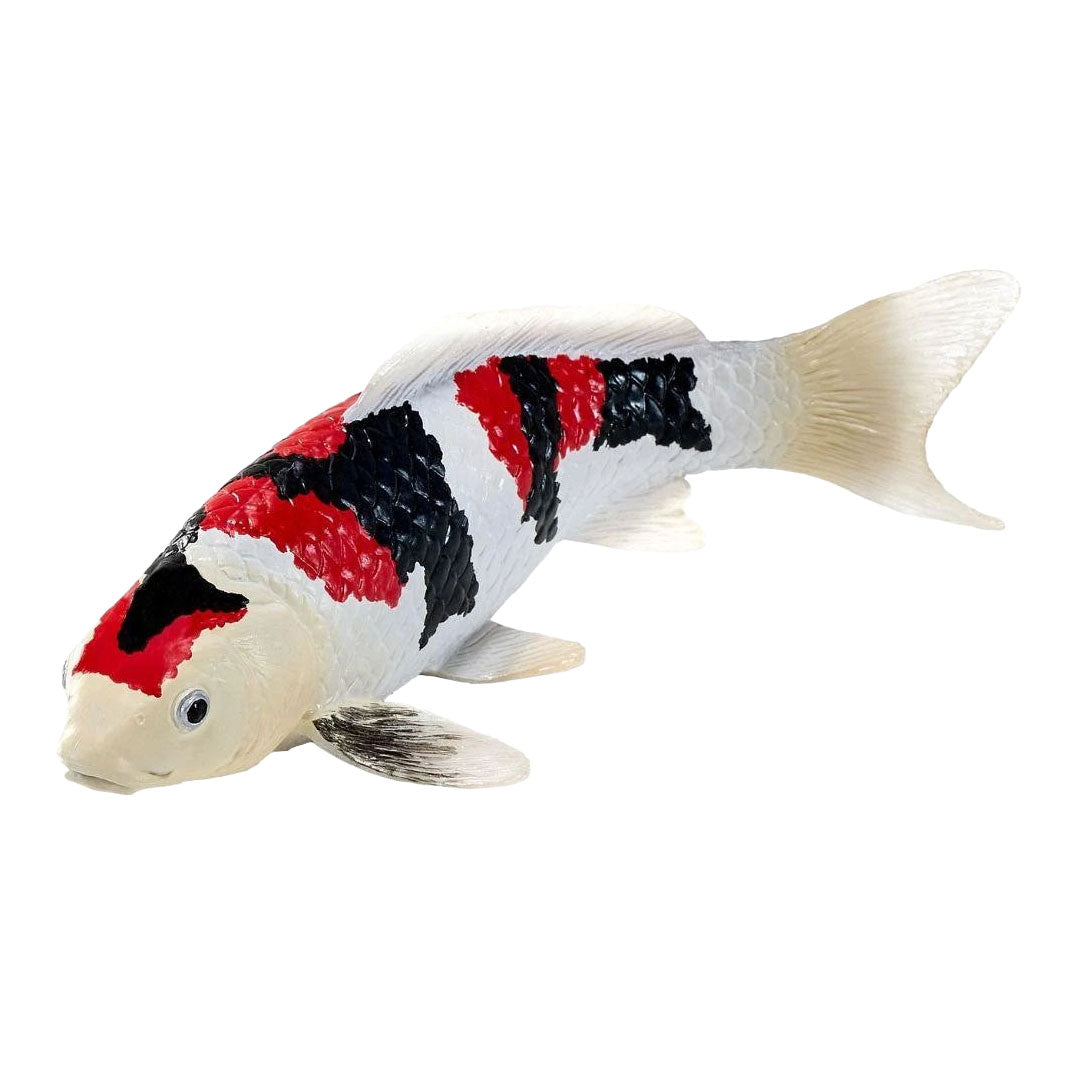Mojo Koi-Kollektion – Showa Sanshoku Koi dreifarbig 381121